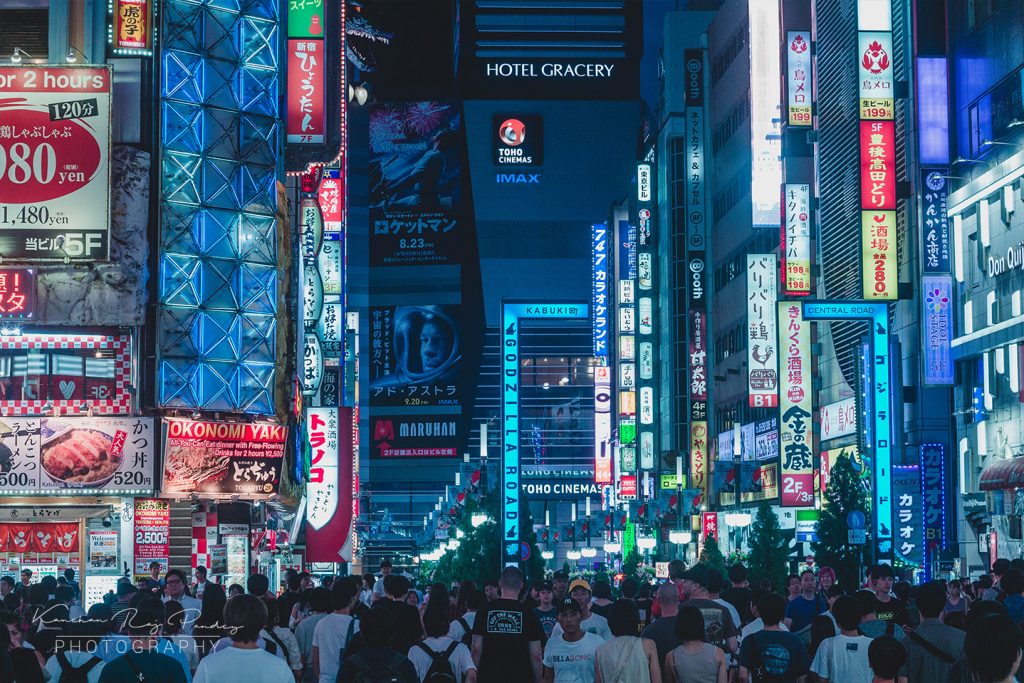 Godzilla Road at Night, Shinjuku, Tokyo, Japan