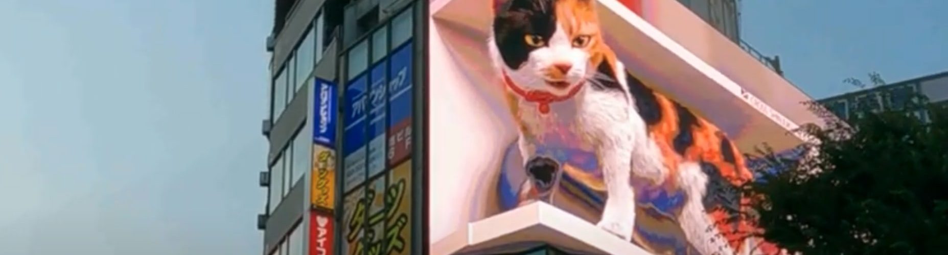 3D Cat Tokyo Japan